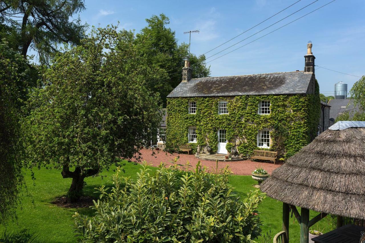 Thistleyhaugh Farmhouse 롱호슬리 외부 사진